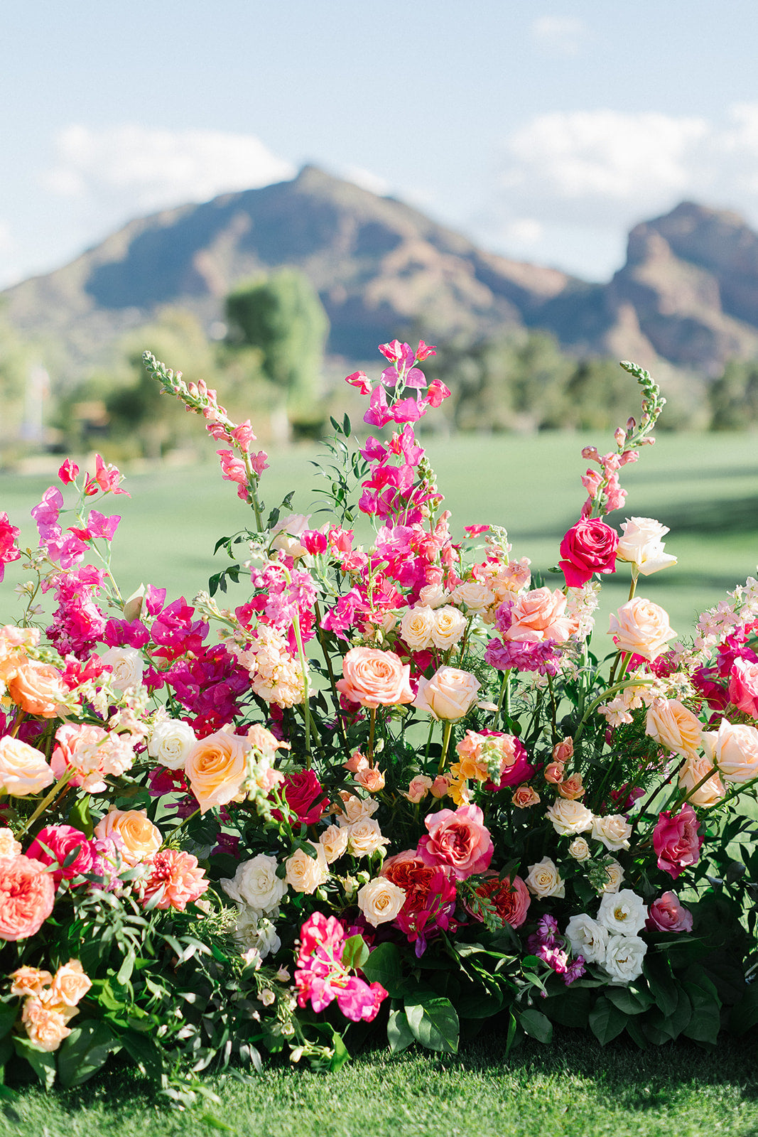 sunset colored floral in front of a mountain